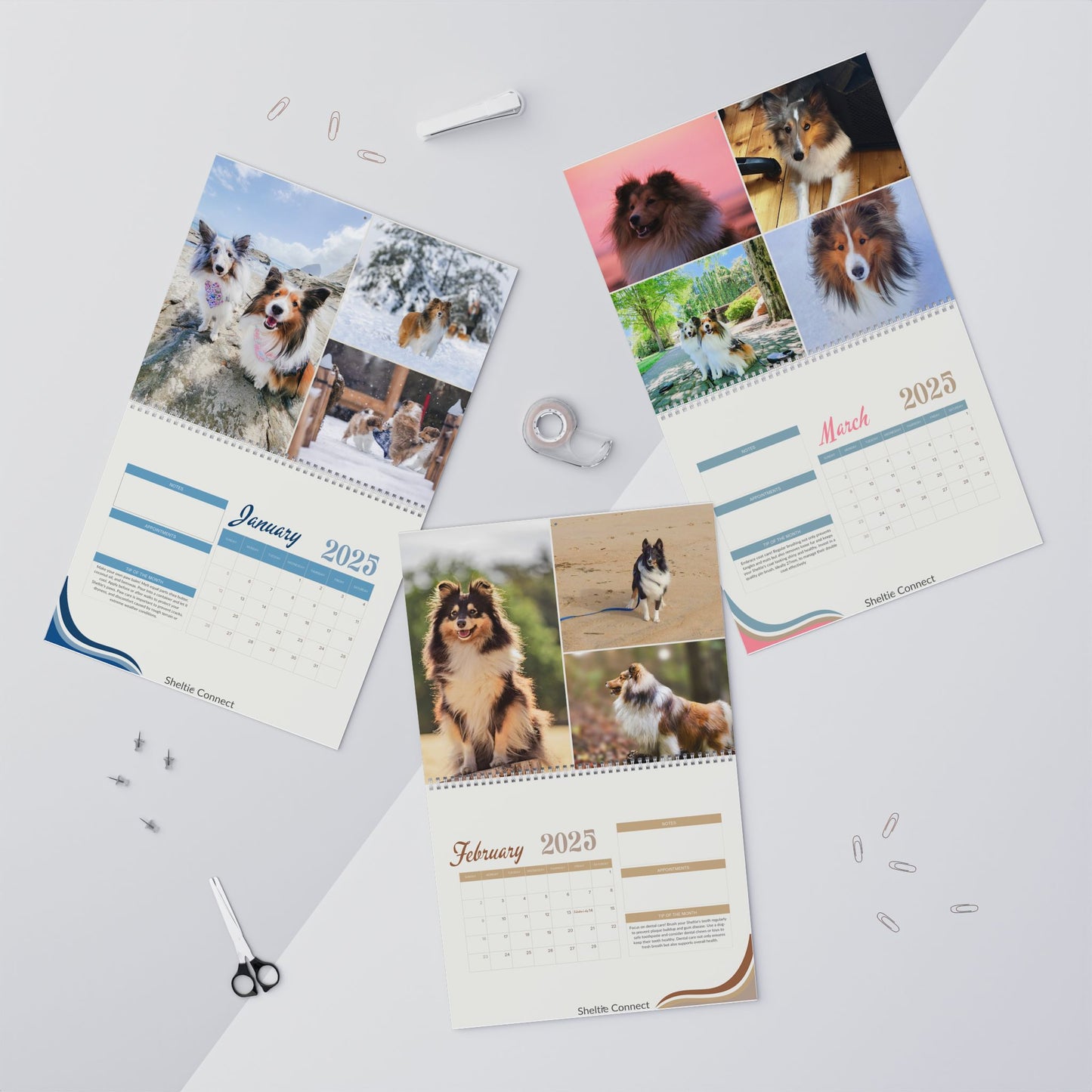 Sheltie Calendar - Sheltie Connect