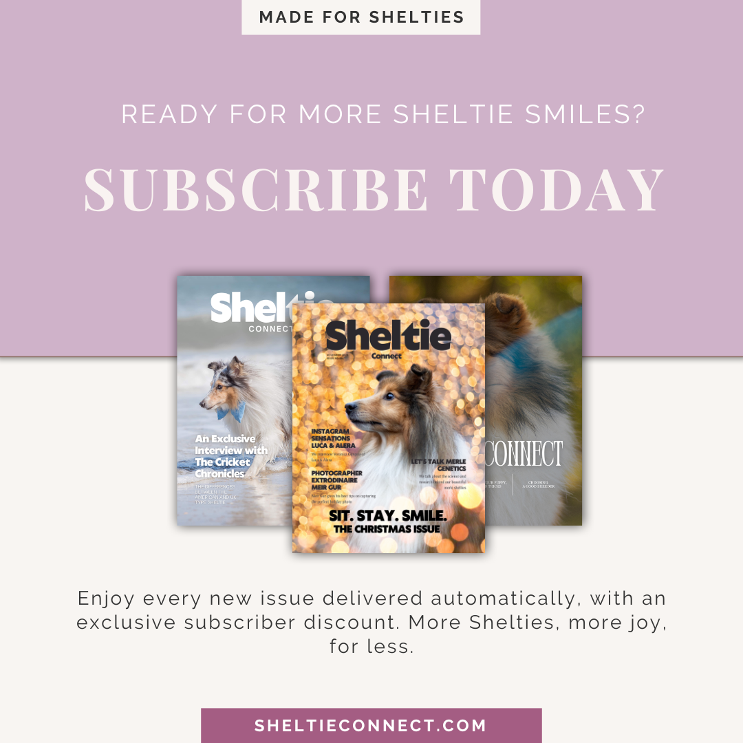Subscription Sheltie Magazine