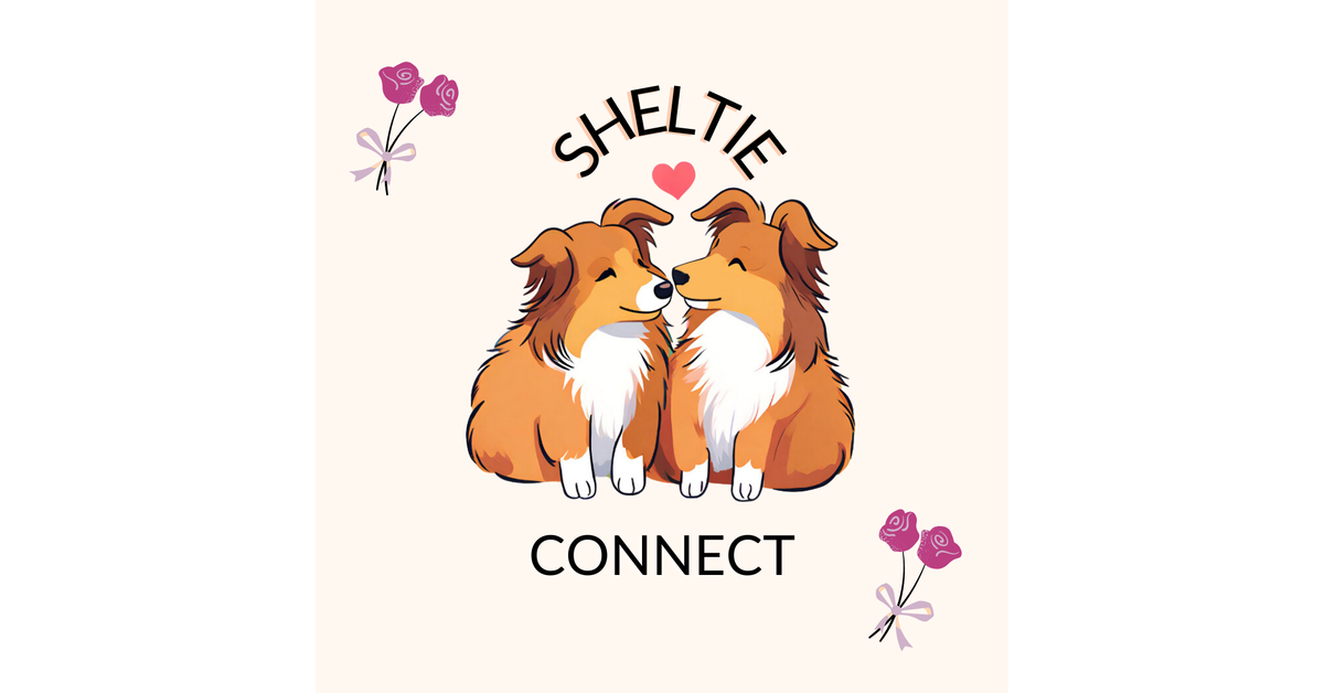 sheltie.ryo  Shaizach Shelties - Valdawn Shaizach Sovereign