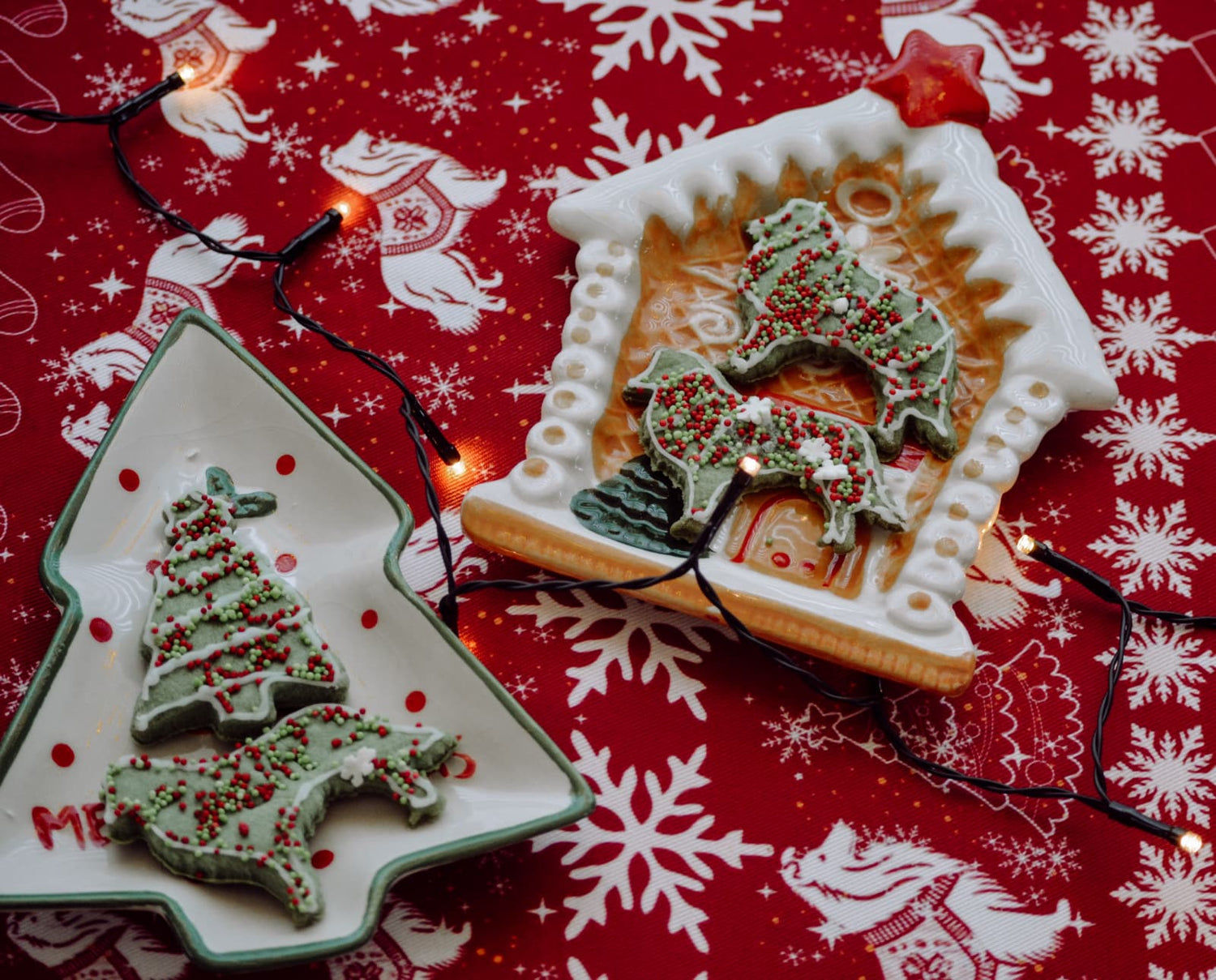 Christmas collection '25
