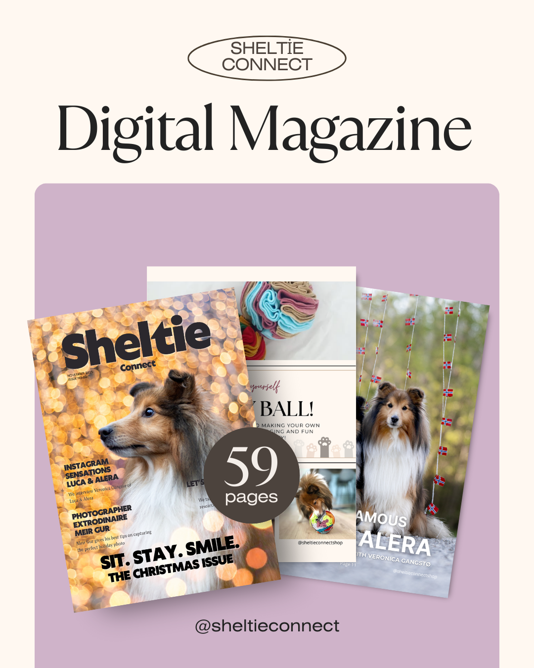 Digital Sheltie Connect Magazine November '25