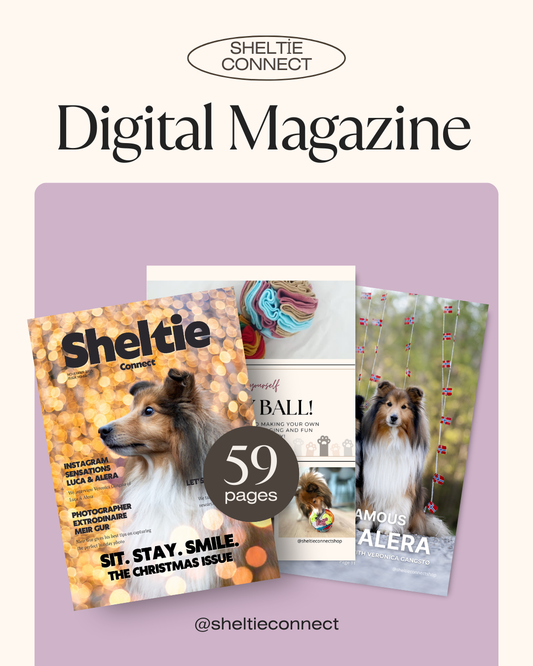 Digital Sheltie Connect Magazine November '25
