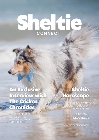 Subscription Sheltie Magazine - Sheltie Connect