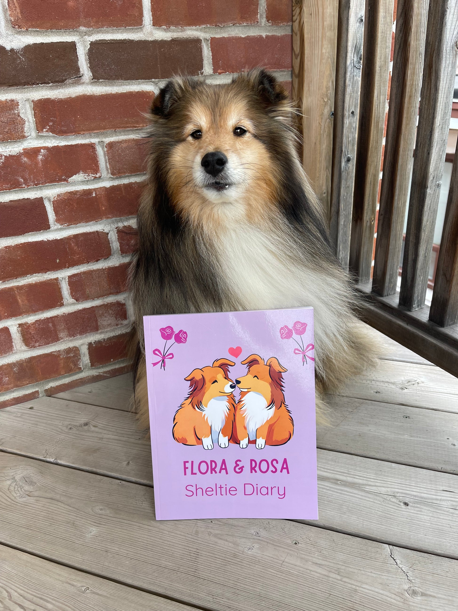 Flora & Rosa sheltie diary