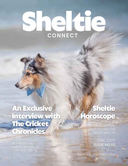 Sheltie Connect Magazine June '25 - Sheltie Connect