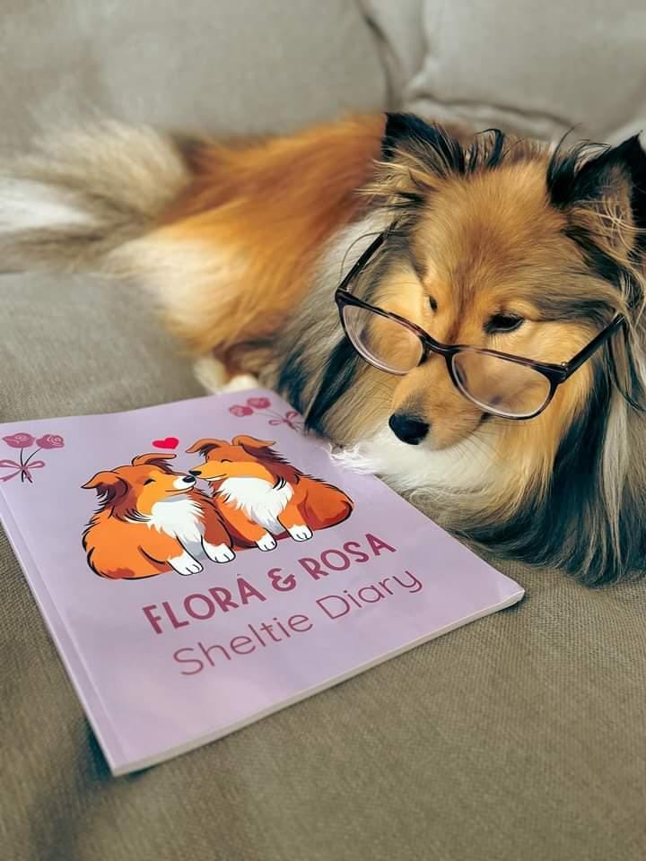 Flora & Rosa sheltie diary