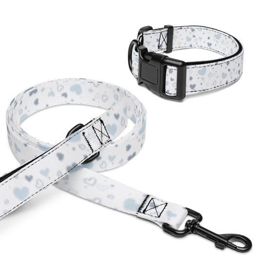 Pet collar & leash Blue