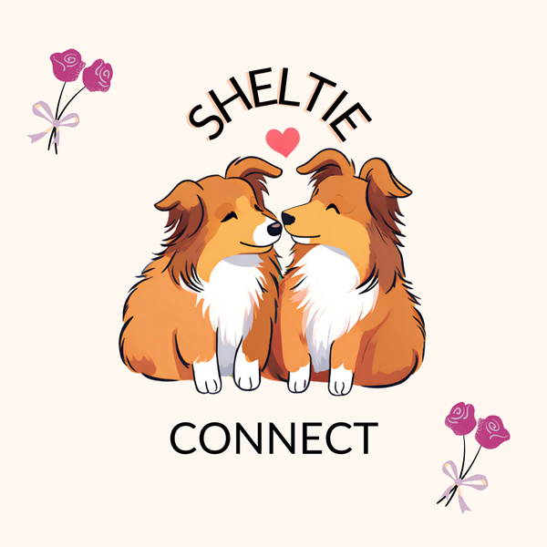 Sheltie Connect