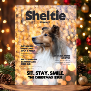 Sheltie Connect Magazine November '25