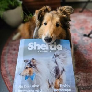 Sheltie Connect magazine June '25