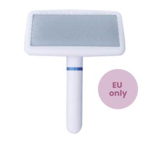 Slicker brush shetland sheepdog