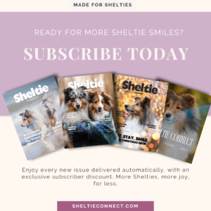 Sheltie Connect magazine subscription