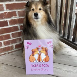 Sheltie diary